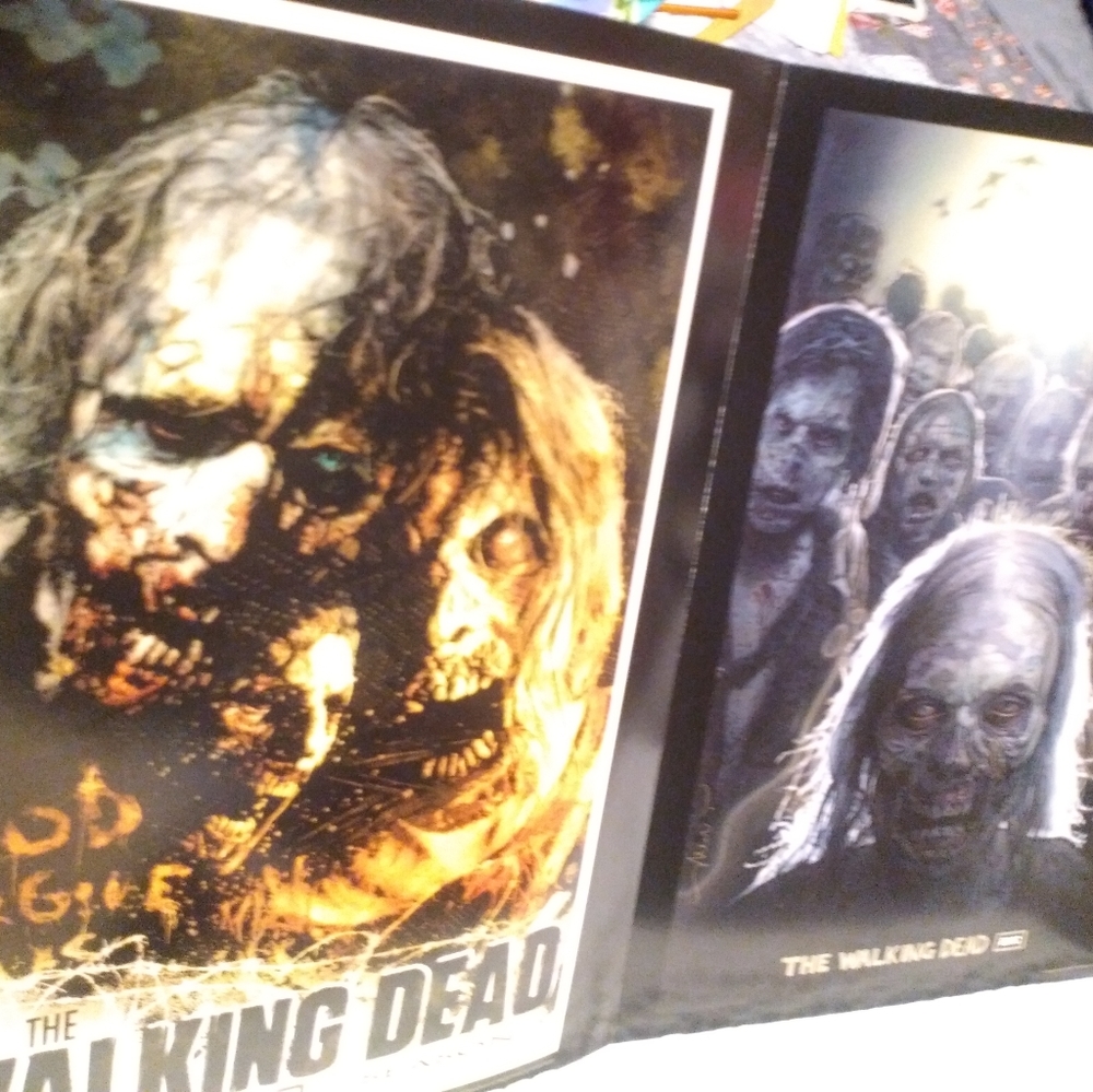 Walking Dead Poster Collection Excellent Condition - Picture 8 of 8